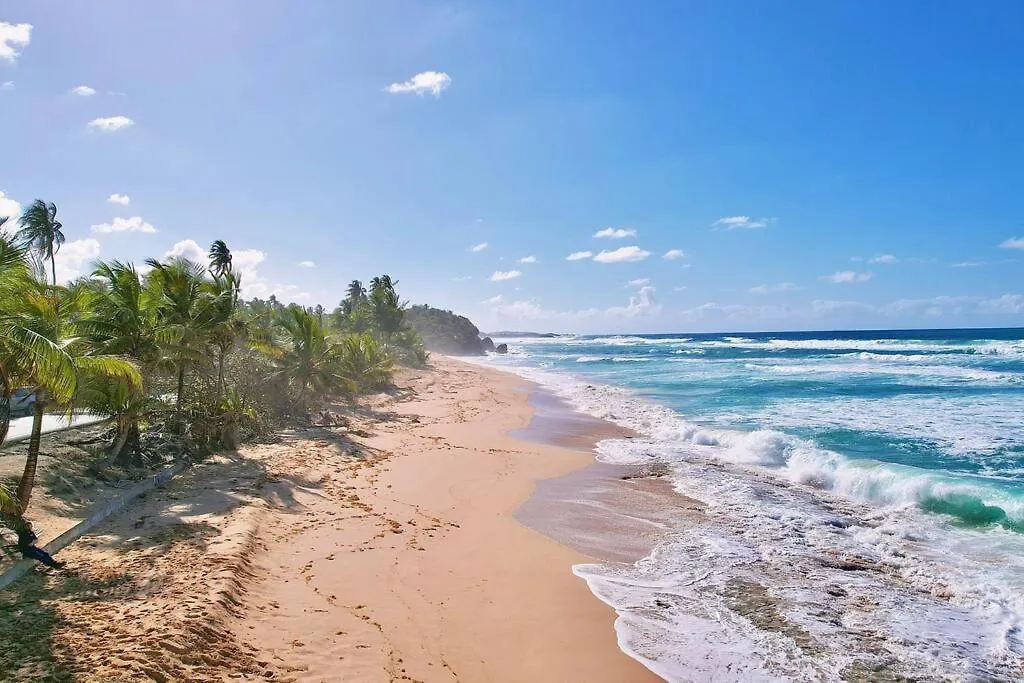 Holiday home Family & Friends - Beach, Bbq, Private Pool & Pet Vega Baja Puerto Rico